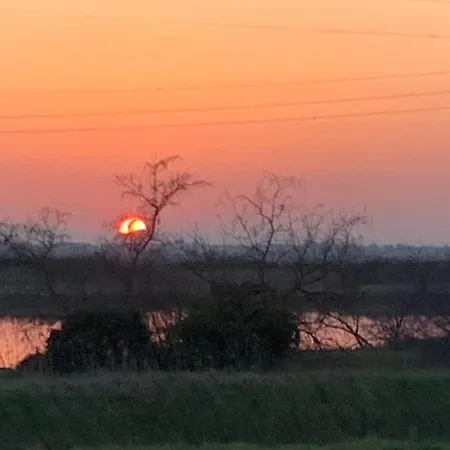 Golden Ravenna- Large In Center * Rawenna